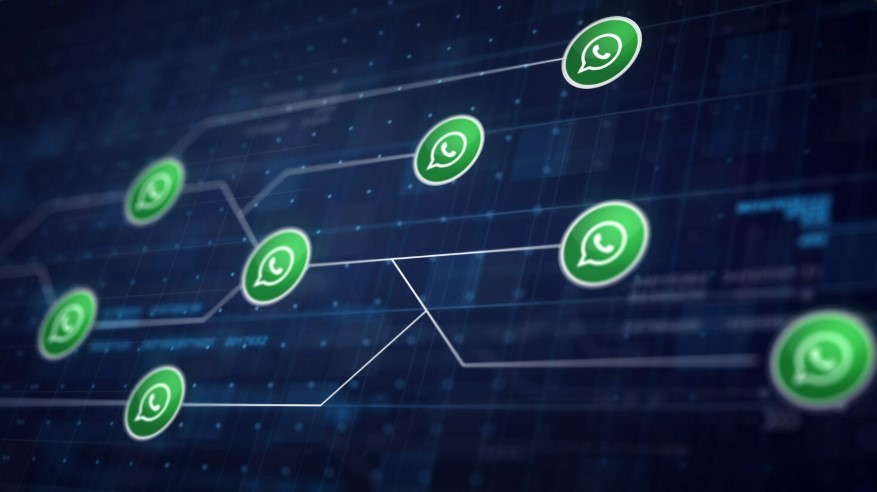 WhatsApp Business API
